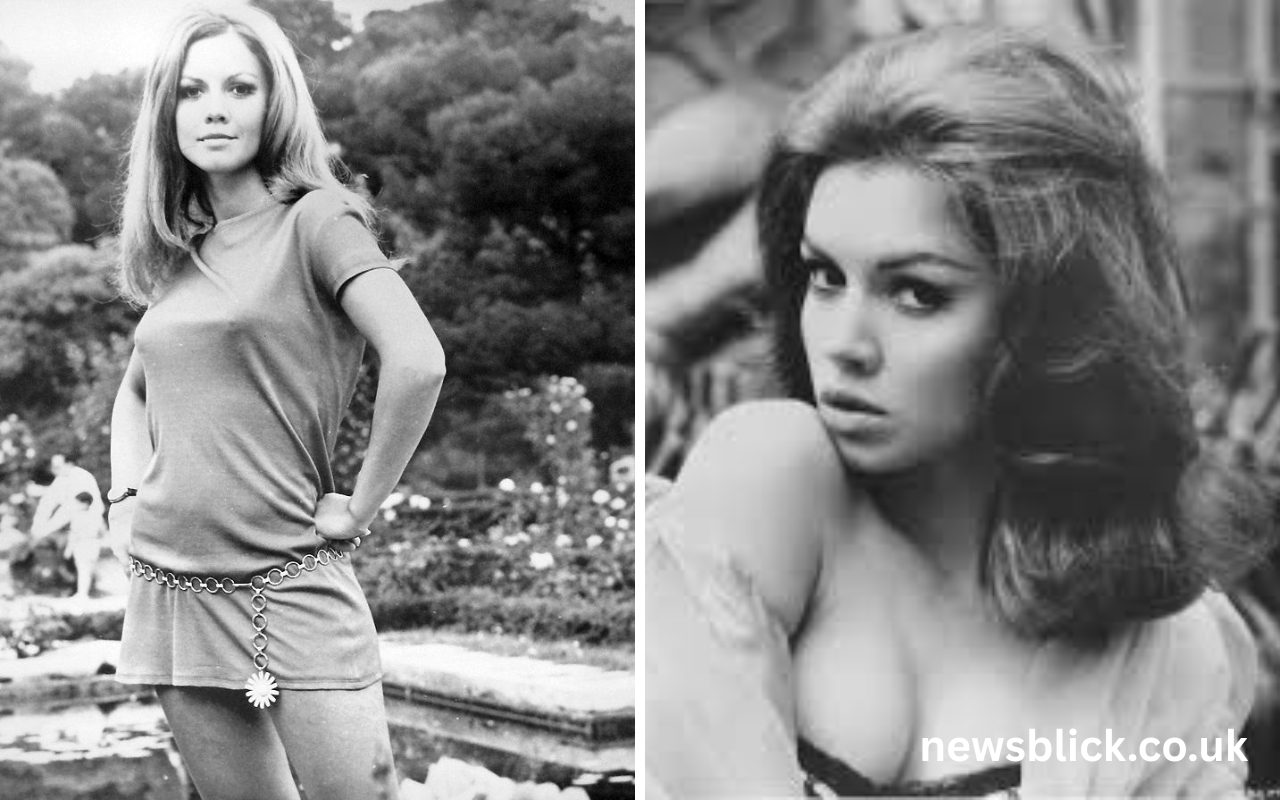 jocelyn lane